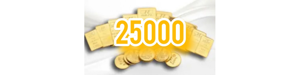 25000 G20